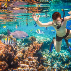 Best Can You Snorkel In Cabo Prices Reviews
