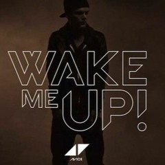 Avicii - Wake Me Up (Feat. Nicki Minaj, Shawn Mendes, Post Malone & more) (3 Dudes Mashup)