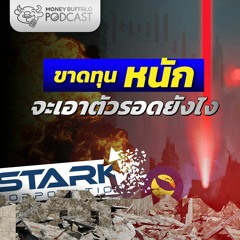 STARK ทำขาดทุนหนัก! จะเอาตัวรอดยังไง? | Money Buffalo Podcast EP 145