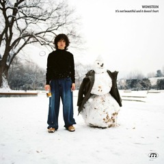 Wonstein - It's Not Beautiful And It Doesn't Hurt