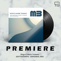 PREMIERE: Riigs & Mark Tammo - Guttersnipe (Original Mix) [MELODIC BEATS RECORDINGS]