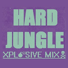 Hardcore Jungle Selections April 2024