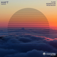 Premiere: HAFT - Flow [Meanwhile Horizons]