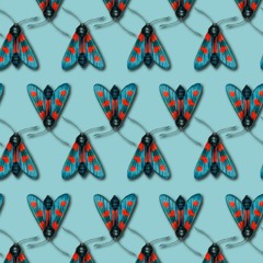 Dominik Eulberg - Fünffleck-Widderchen (SpeakOf Remix)