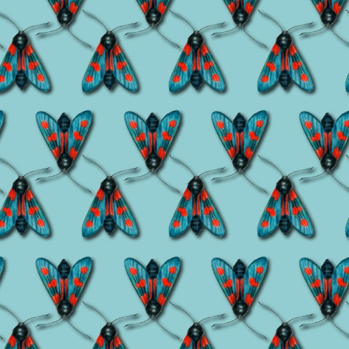 Dominik Eulberg - Fünffleck-Widderchen (SpeakOf Remix)