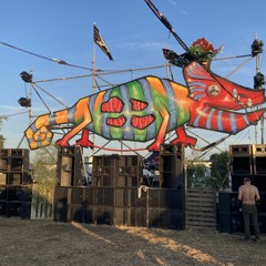 Acid tribe mental