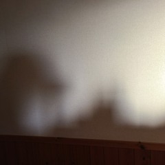 家