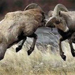 B'tzeit Yisrael-- Psalm 114 (Osborne)