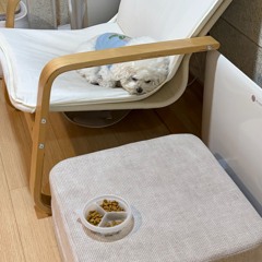 I NEED YOU TO SHUT UP