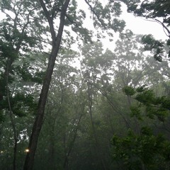 i like to feel the rain
