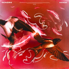 RONDINI (guitar by. Kioda & Piero)