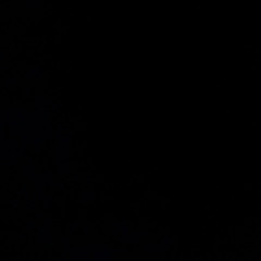 NEFA$T0 - NO BARRACO