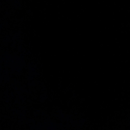 NEFA$T0_ PLANTTTA - DSCLP