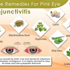 Best Treatments For Pink Eye At Home Reviews