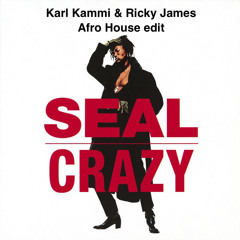 Seal - Crazy ( Karl Kammi & Ricky James Afro House edit )
