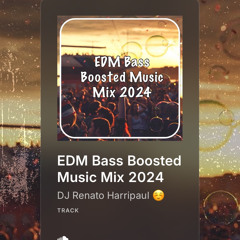 EDM Bass Boosted Music Mix 2024