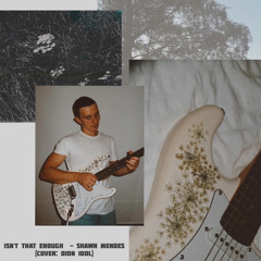 Isn't That Enough - Shawn Mendes (Cover by Dion Idol)