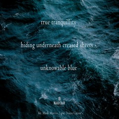 halF unknowablE [naviarhaiku325]