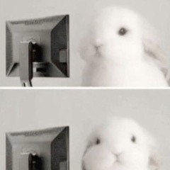 ₍ᐢᐢ₎