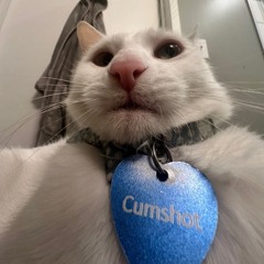 fishinasunlesswomb.ogg