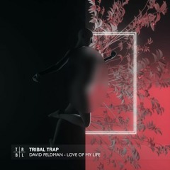 david feltman - Love_Of_My_Life.mp3_(official_video)(remake**)