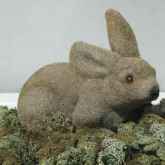 Synthetico Rabbit