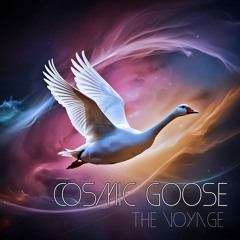 Cruise Control on a Spyder