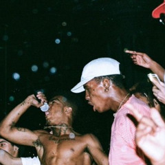 What in XXXTARNATION (Flipped)