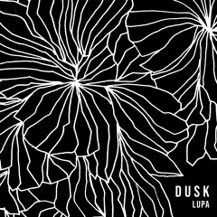 Dusk (original mix) ---- FREE DOWNLOAD