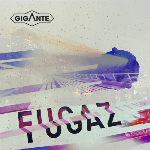 02 - El Enigma
