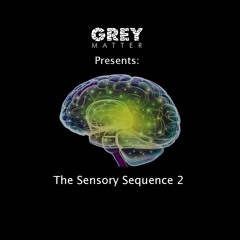 Presents: The Sensory Sequence 2