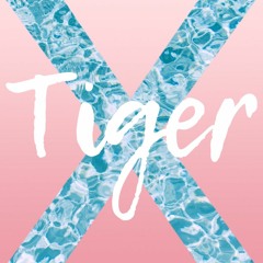 Tiger X. Episode 6. Tam