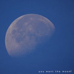 you want the moon?