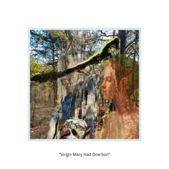 The Virgin Mary Had One Son