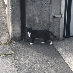 アクセル (at ROOM rec iphone)