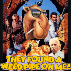 THEY FOUND A WEED PIPE ON ME !