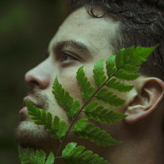 VIES VIBES & Ft. Luder VieS - Petals
