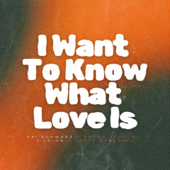 I Want to Know What Love Is