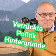 Verrückte Politik - Warum ist es so? Berufspolitiker, NGOs, Lobby