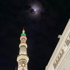 قَالَ إِنَّمَا أَشْكُو بَثِّي وَحُزْنِي إِلَى اللَّهِ - ما تيسر من سورة يُوسُف ش. محمد صالح اليمني