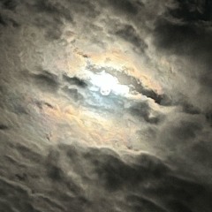 WON’T YOU PICK ME UP..