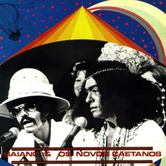 Vo Bate Pa Tu (Ao Vivo) [feat. Lingote]