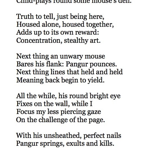 572 Pangur Bán by Anonymous, read by Jonjo O'Neill