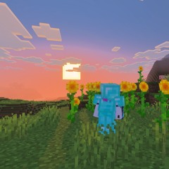 Sunshin