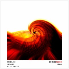 Rob Hilgen - Liberal (Steven Flynn Remix) [Big Bells Records].mp3