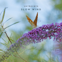 Slow Wind