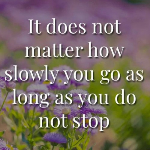 slow and steady wins the race quote