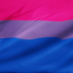Bisexual Anthems