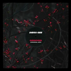 Summer Grooves Mix | Diego Gee
