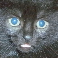 pink pony club - cover